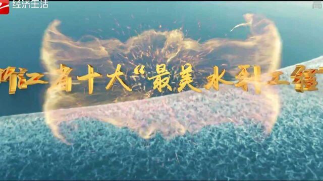 浙江省十大“最美水利工程”