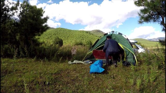 自驾游带着狗狗在大山里搭帐篷,这里蓝天白云,简直是世外桃源