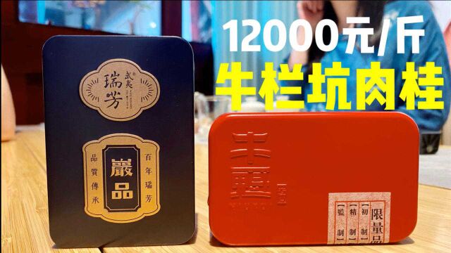 试喝瑞芳熹茗品牌12000元/斤的牛栏坑肉桂,喝完感觉:失望至极