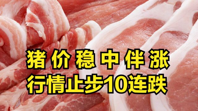 今日猪价稳中伴涨,行情止步10连跌,同比下挫61.94%