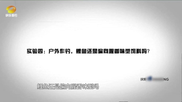 每个地域的鱼口味不同,户外三种味型钓鲤鱼,最终结果在意料之中