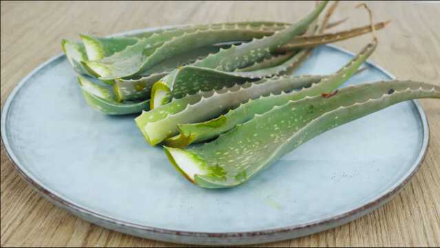 家里养芦荟的要留意,有6个妙用,早知道早受益,太实用了