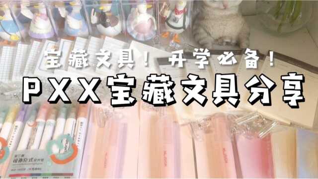 PXX文具分享!平价又实用的宝藏!