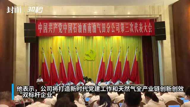 30秒|中石油西南油气田:建成“六大样本” 奋力打造“双标杆”