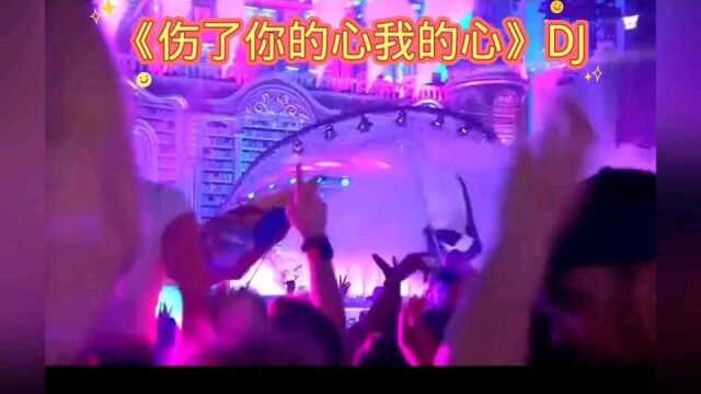 DJ完整版