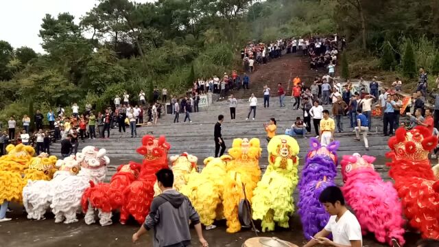 广西玉林烈山五姓传统民俗,第一次见100多只醒狮表演,太壮观了