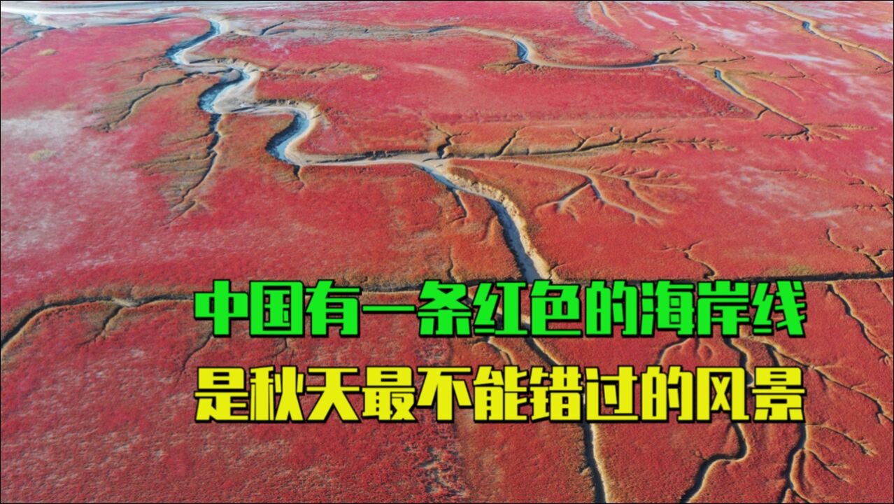 中国东北的秋天,除了欣赏红叶以外,还有一种自然奇观决不能错过