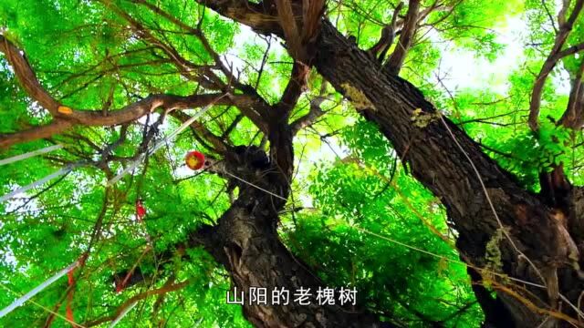 “遇见济宁”采风打卡圣地山水,感受孔孟之乡文化“两创”魅力