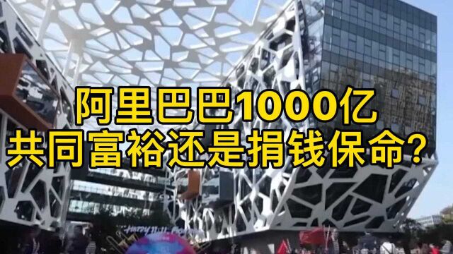 阿里巴巴1000亿,共同富裕还是捐钱保命?