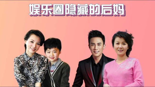 娱乐圈隐藏的后妈,杜淳后妈是我们熟悉的演员,董卿对继子视如己出