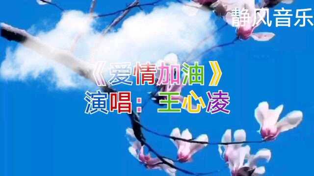 歌曲《爱情加油》演唱:王心凌