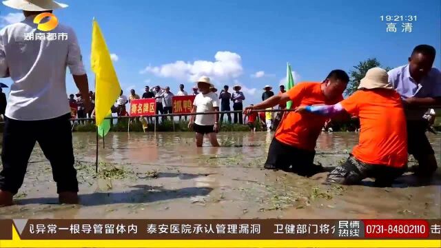 秋分梯田“丰”景独好 山背花瑶美瞰丰收 泥田拔河比赛别有趣味