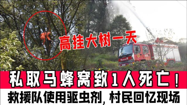 私取马蜂窝致1人死亡!高挂大树一天救援队使用驱虫剂,村民回忆现场情况