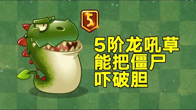 PVZ成长史:5阶龙吼草到手!能把僵尸吓尿裤子吗?