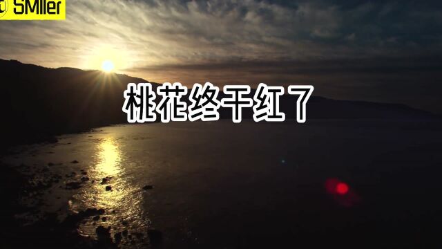 231《风空》(节选)仓央嘉措【为你读诗 231】