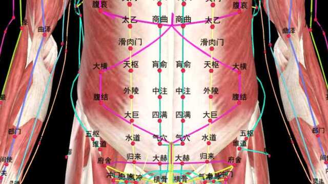 孔旭医生谈抖抖健身:经络穴位简介