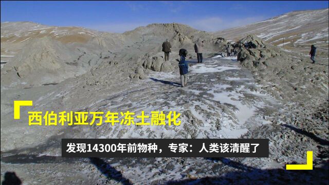 西伯利亚万年冻土融化,发现14300年前物种,专家:人类该清醒了