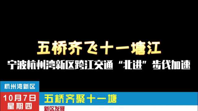 五桥齐飞十一塘江,宁波杭州湾新区跨江交通“北进”步伐加速!