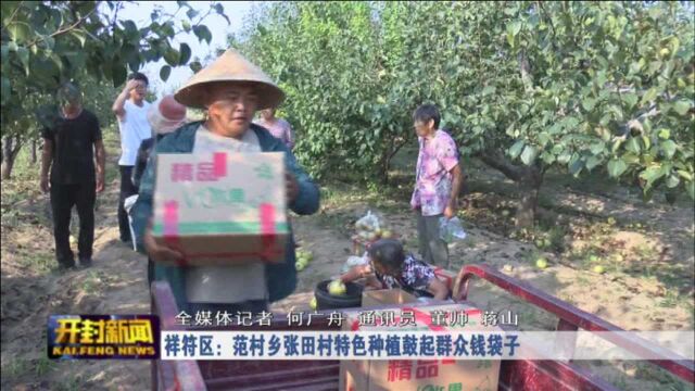 祥符区:范村乡张田村特色种植鼓起群众钱袋子