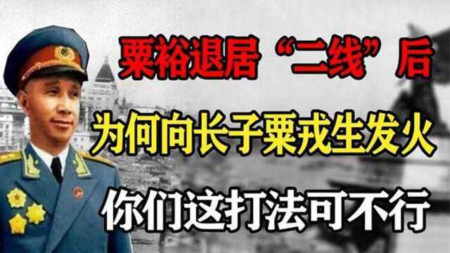 粟裕退居“二线”后,为何向长子粟戎生发火你们这打法可不行