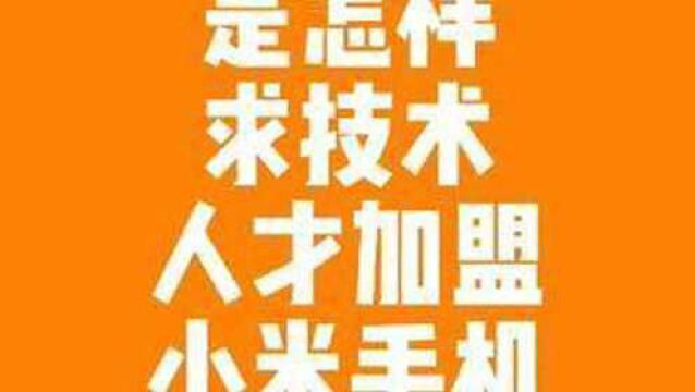 雷军是怎样追求硬件技术人才,加盟小米手机公司的?(3)