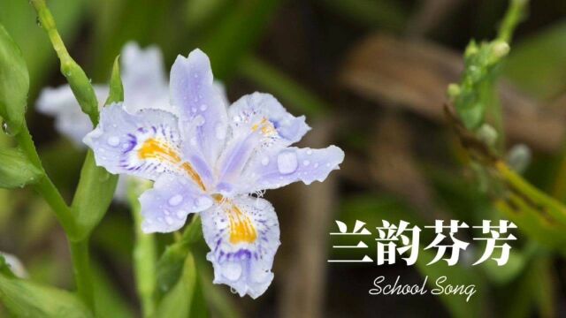 丨兰韵芬芳——六盘水市钟山区第一小学校歌创作侧记#校园文化建设#校歌#校园文创