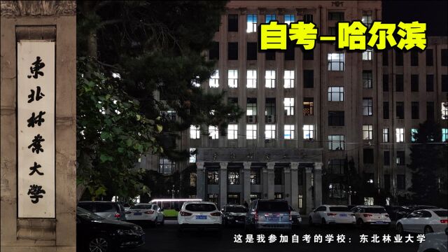 离开哈尔滨之前,拖着疲惫的身躯到东北林业大学,感受大学的氛围