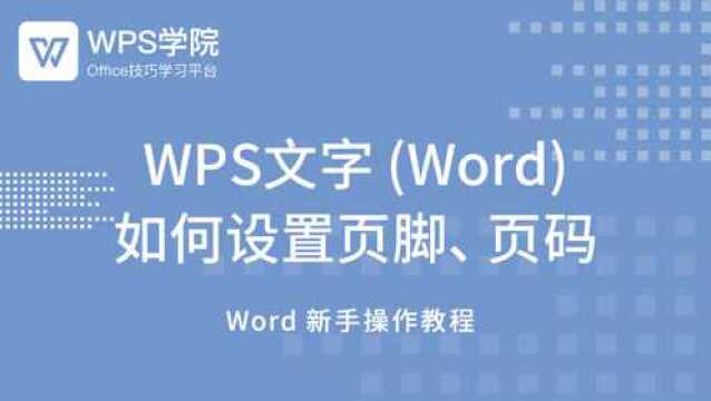 28. WPS文字 如何设置页脚页码