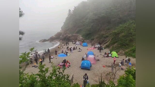 心驰神往的大连七贤岭森林公园,小众打卡地,有清澈的海水和绝美的风景#海洋