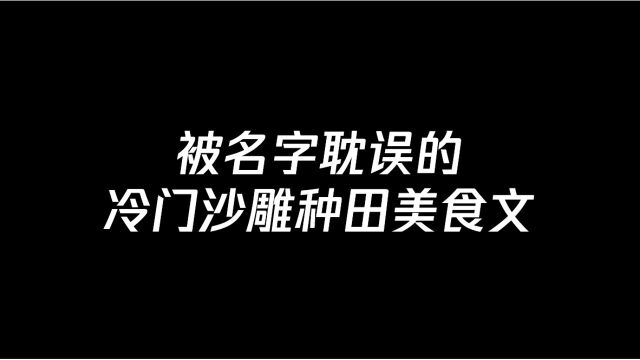 【小追推书】被名字耽误的冷门沙雕种田美食文