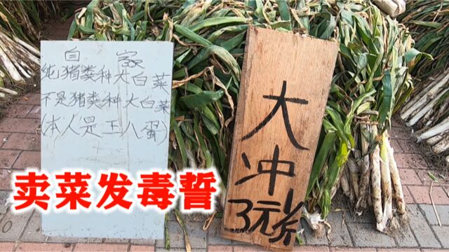 大葱价格彻底起飞,丹东设置27个秋菜销售点,听听大葱涨价原因