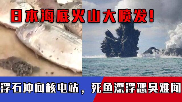 灾难!日本海底火山大喷发,浮石冲向核电站,死鱼漂浮恶臭难闻