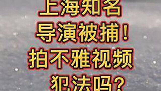 上海众华律师事务所合伙人张晖律师.