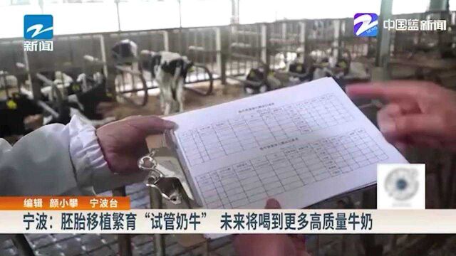 宁波:胚胎移植繁育“试管奶牛” 未来将喝到更多高质量牛奶