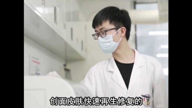 青岛大学研发出神奇“创可贴”