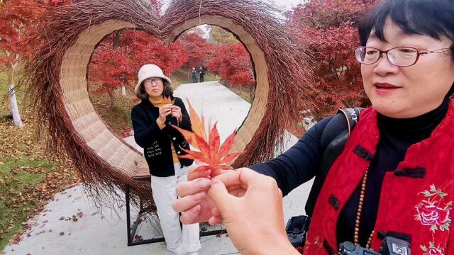 威海人旅游必去的打卡地,门票半价,错过再去就得明年,你来过吗