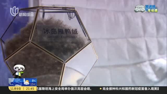 进博会:“中国定制”纷纷亮相 72万“天价被”收获订单