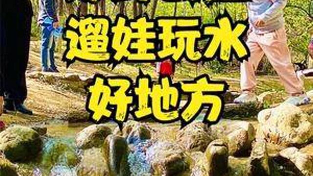 北京这里有个绝美郊野森林公园,溪水边野餐玩耍且人少凉爽还免费