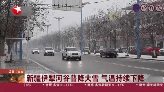 新疆伊犁河谷普降大雪 气温持续下降