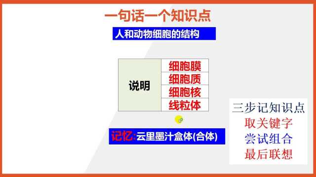 初中生物知识点:人和动物细胞的结构记忆