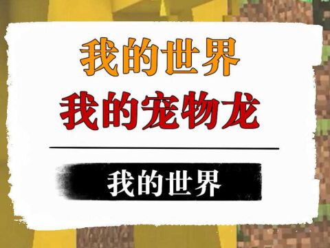 我的世界:当我们有一只二哈龙,我们应该怎么巡服它呢?