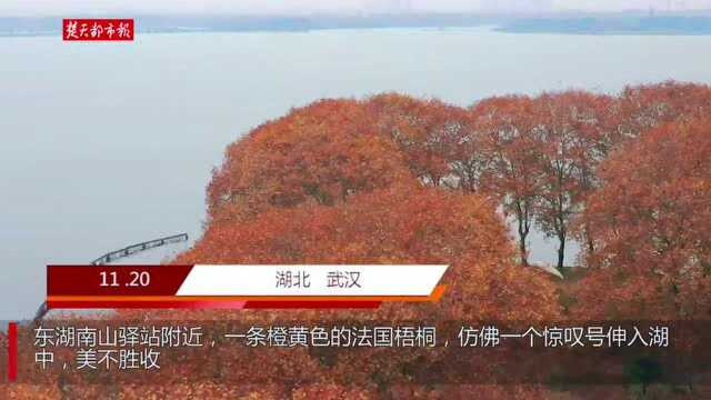 东湖上的“惊叹号”