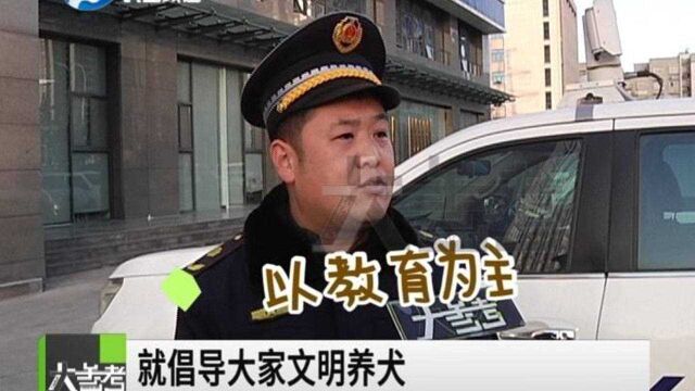 河南郑州:公共区域养犬,最高可罚两千