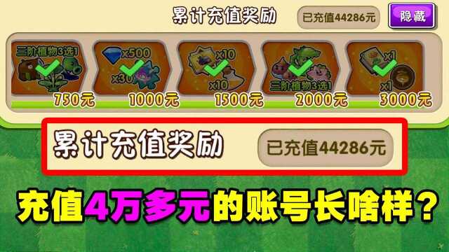 PVZ闲聊:充值4万多元的账号长啥样?