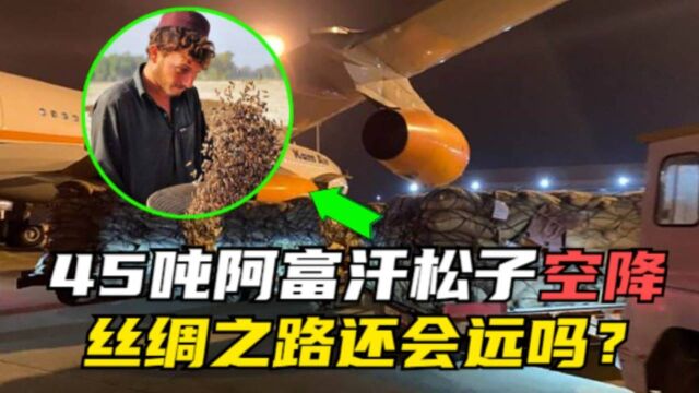 信息量巨大!45吨阿富汗松子抵达上海,“丝绸之路”要重启了?