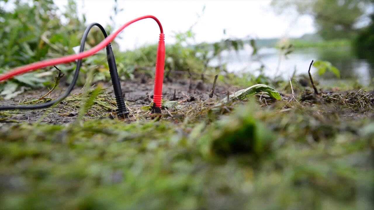 植物也能发电,浇水施肥,晒晒太阳就来电了