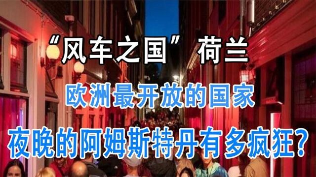 荷兰为什么如此开放?灰色产业合法化后,夜晚的荷兰是多么疯狂?#好片推荐官#