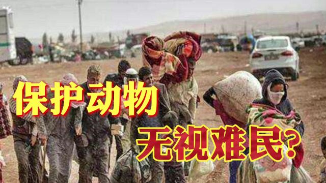 西方人道主义的真相(下):动保环保口号响亮,遍地难民无人问津