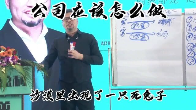 公司应该怎么做#公司 #老板 #商业模式 #思维 #周导 #逆向盈利