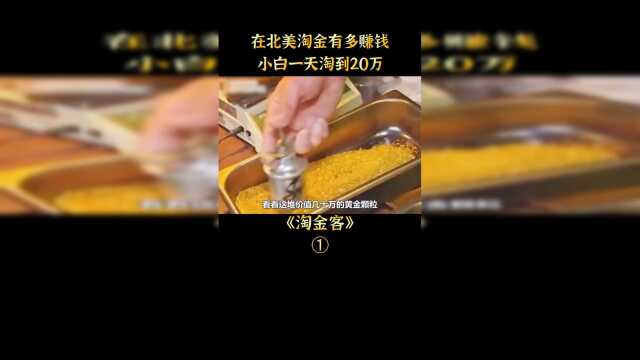 史上最牛淘金客,一天淘到二十万